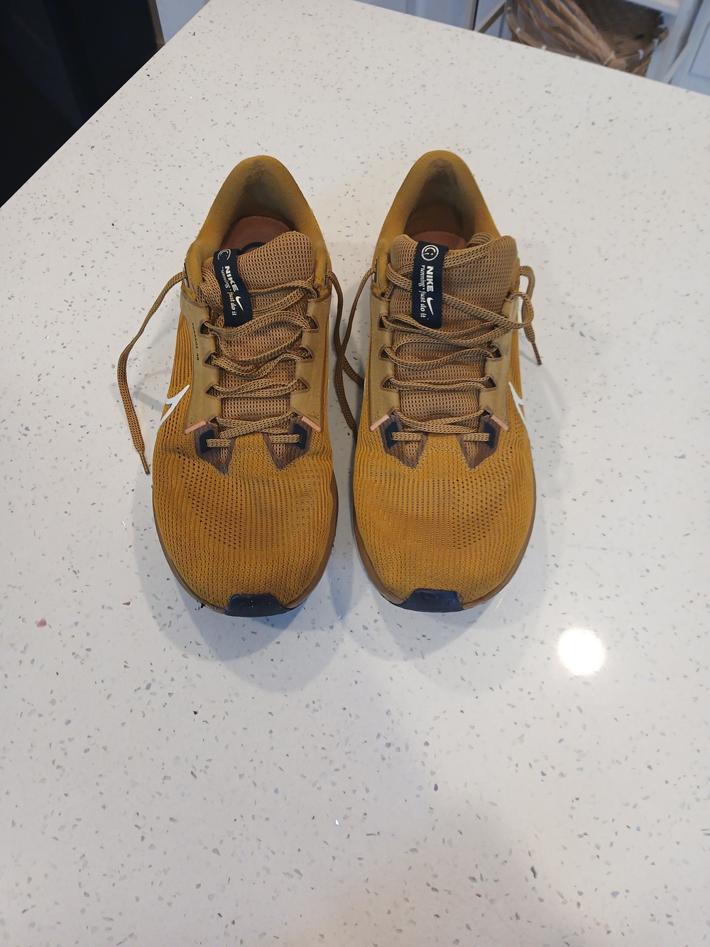 Size 15 - Nike Air Zoom Pegasus 40 Bronzine